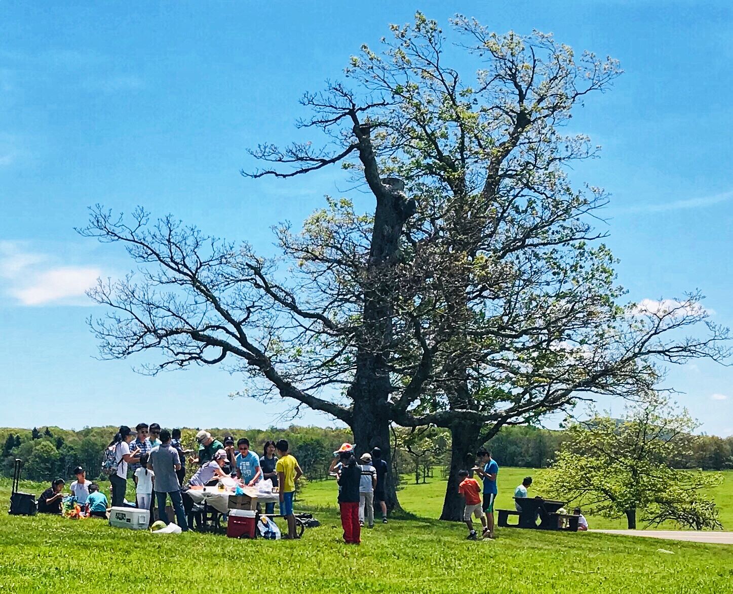 Shenandoah gathering 6-8-20